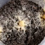 Grindal Worms Starter