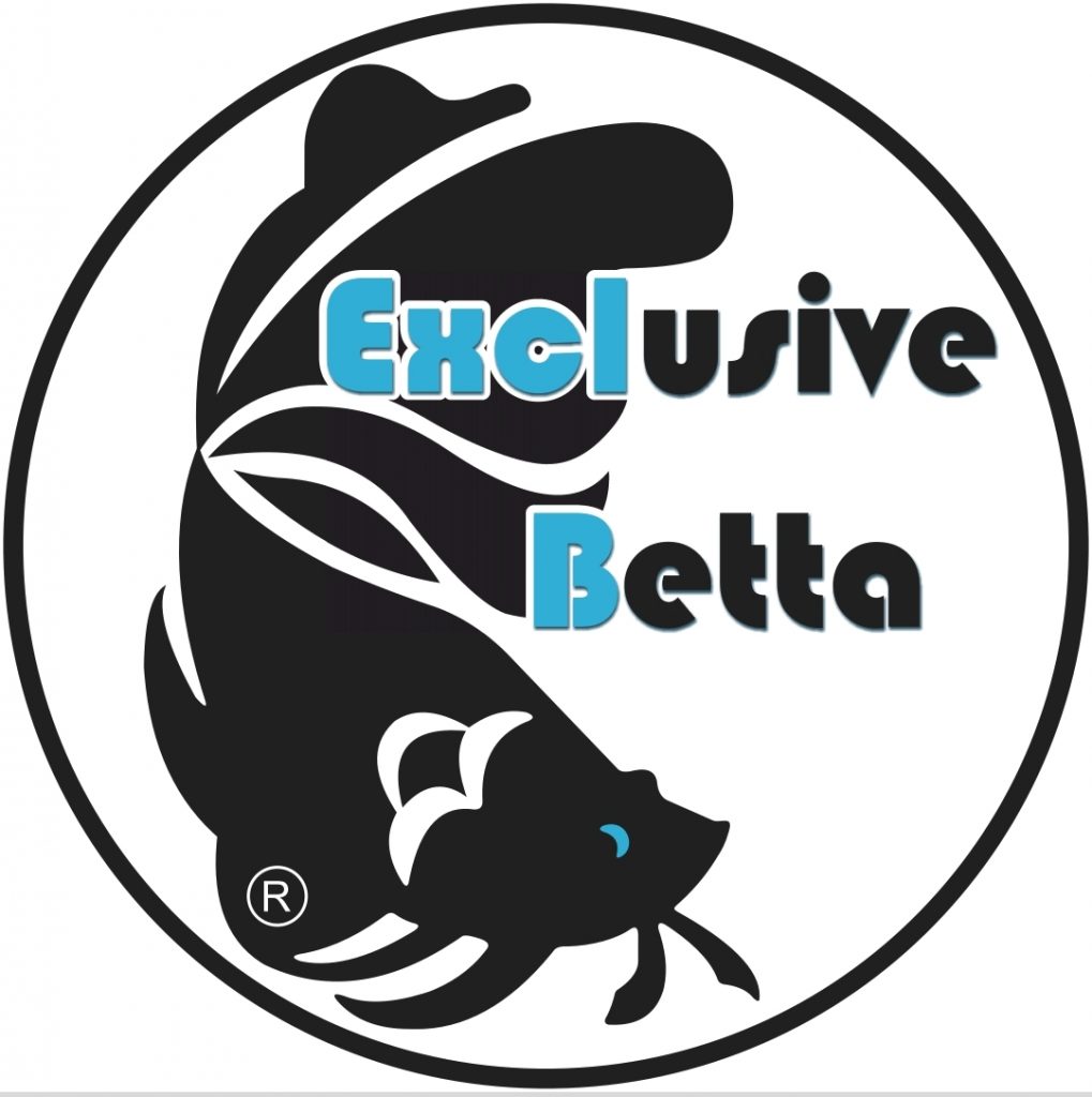 Home - Exclusive Betta