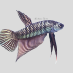 Smaragdina Copper (M)