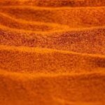 Decapsulated Brine Shrimp Eggs